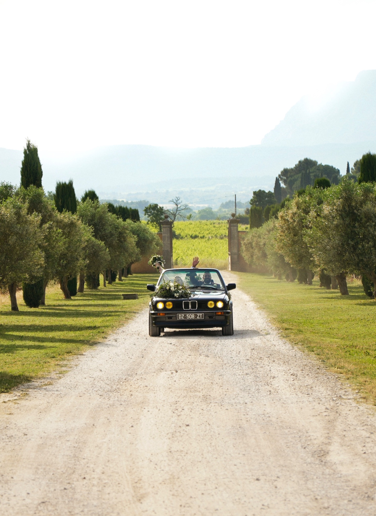 Une voiture avance sur un chemin bordé d’arbres